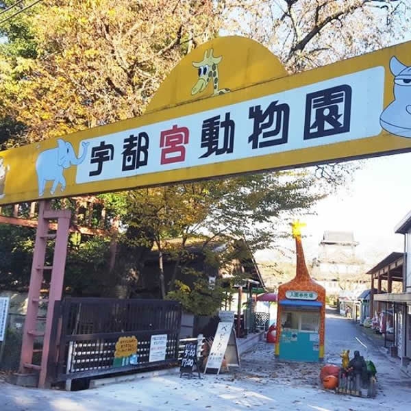 8月3日(日) 14:00～宇都宮動物園、女性満員、予約25名突破☆