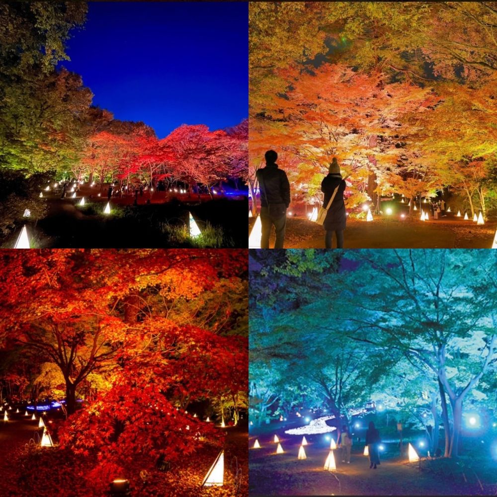 11月23日(日) 17:00東松山森林公園!!予約22名突破