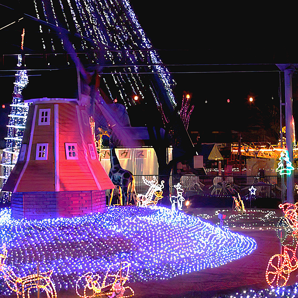 12月20日(土) 19:00～華蔵寺公園、男性満員、予約20名突破