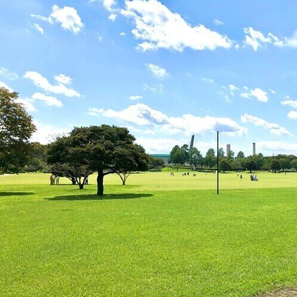 9月6日(日) 13:30～みずほの自然の森公園 、予約15名突破