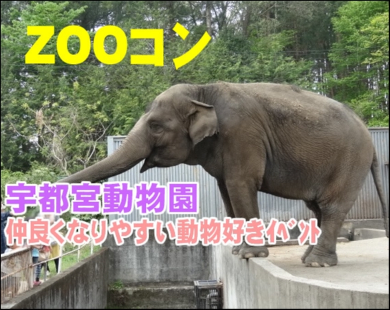 5月13日 日 13 00 宇都宮動物園 婚活 街コン 合コン お見合いパーティーはイベントジェイ